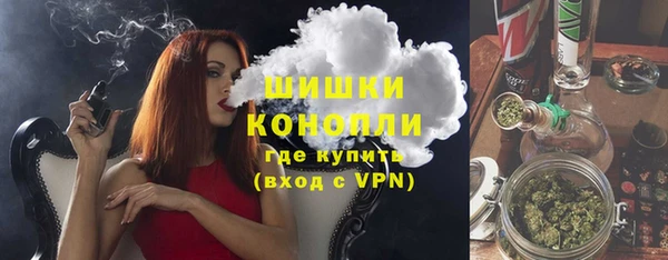 гашик Краснослободск