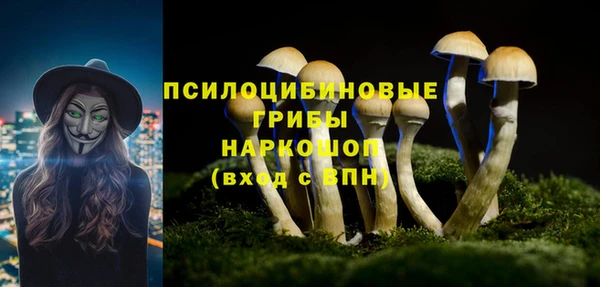 прущие крисы Краснотурьинск