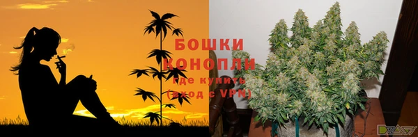 гашик Краснослободск