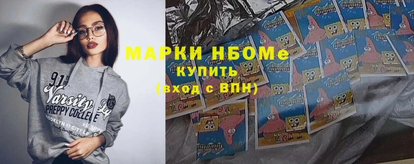 гашик Краснослободск