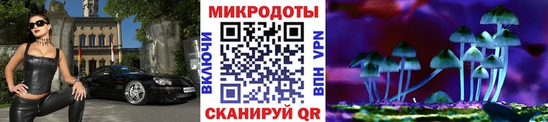 Псилоцибиновые грибы Cubensis  Купить  Заинск 